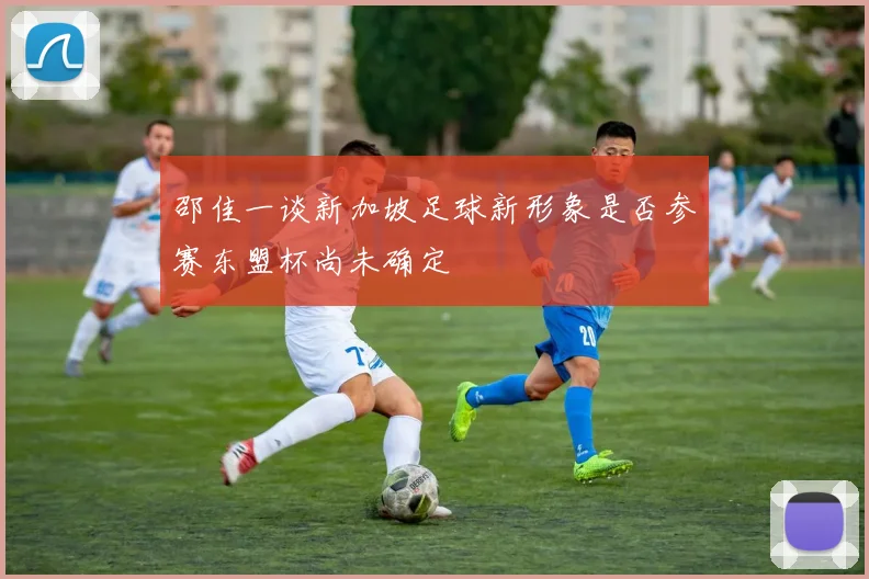 邵佳一谈新加坡足球新形象是否参赛东盟杯尚未确定