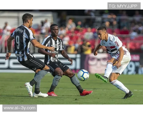 阿根廷教练安塞尔米正式加盟博塔弗戈担任主帅签约两年